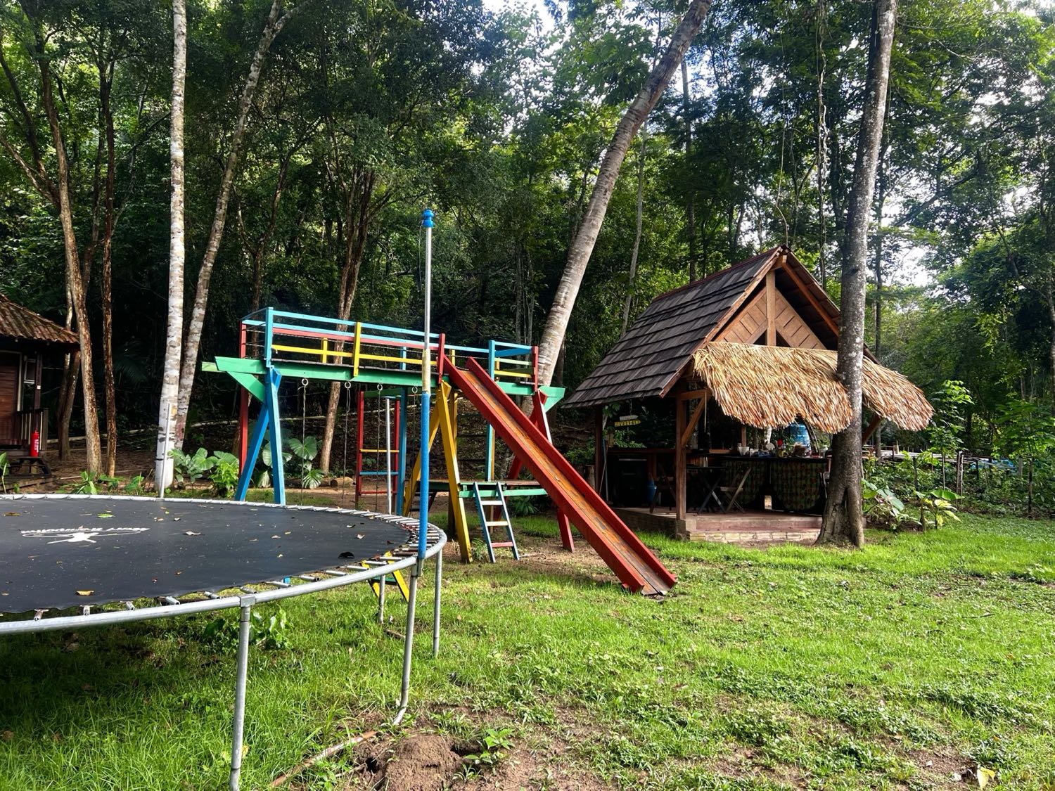 Área de lazer com trampolim na floresta